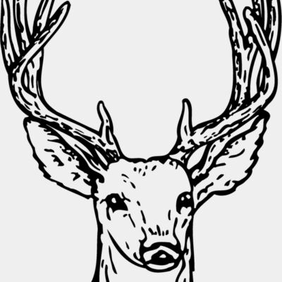 DEER011 Thumbnail