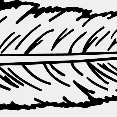 FEATHER Thumbnail