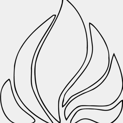 DESIGN55 Thumbnail