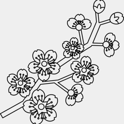 Cherry Blossom Branch Thumbnail