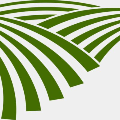 71 Rice Field Thumbnail