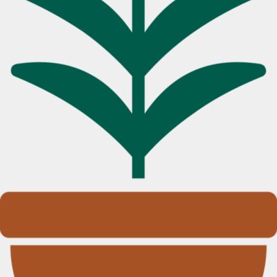 Plant 2 Thumbnail