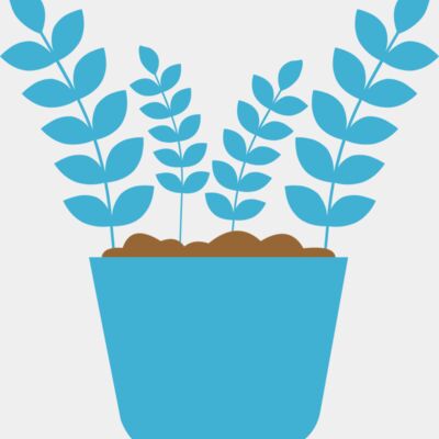 Plant 5 Thumbnail