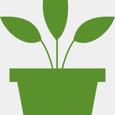 Plant 2 Thumbnail