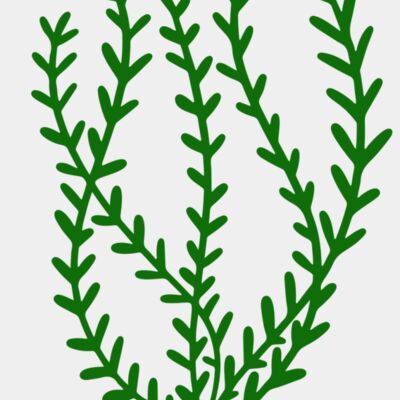 Sea Plants 3 Thumbnail
